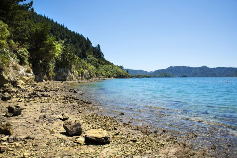 Photo of property in 440 Port Underwood, Whatamango Bay, Picton, 7281