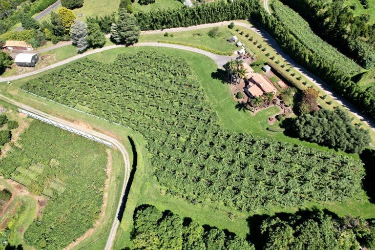 Photo of property in 6a Woodland Road, Tahawai, Katikati, 3170