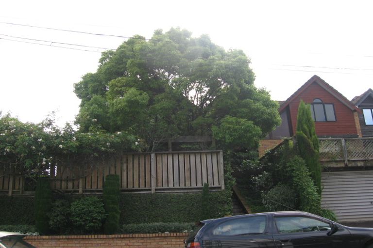 Photo of property in 21 Stanwell Street, Parnell, Auckland, 1052