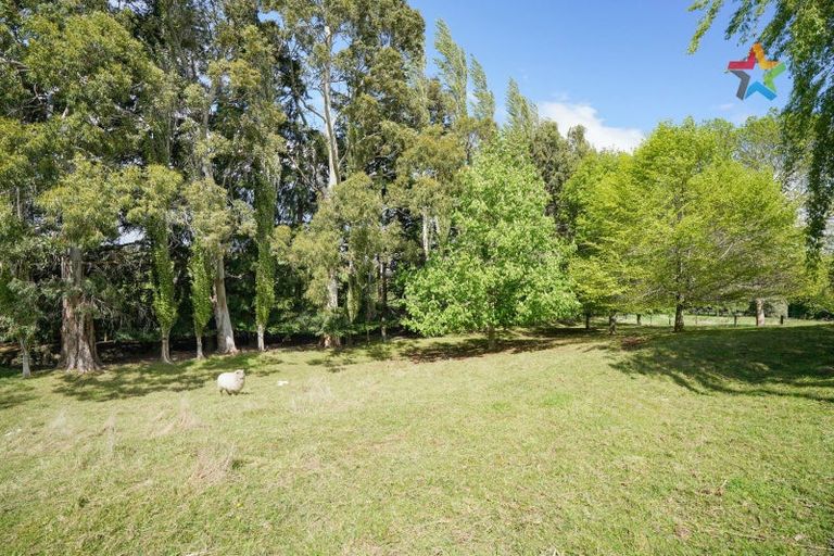 Photo of property in 72 Bush Street, Lumsden, 9730