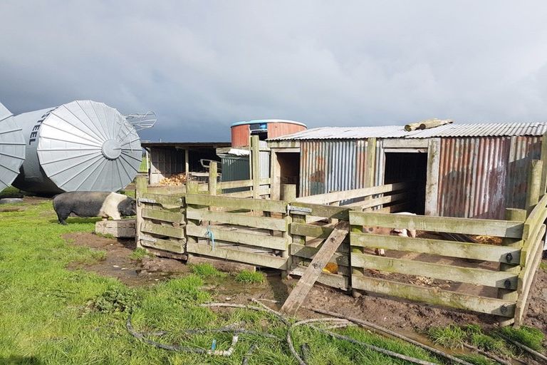 Photo of property in 509 Range Road, Woodville, 4997