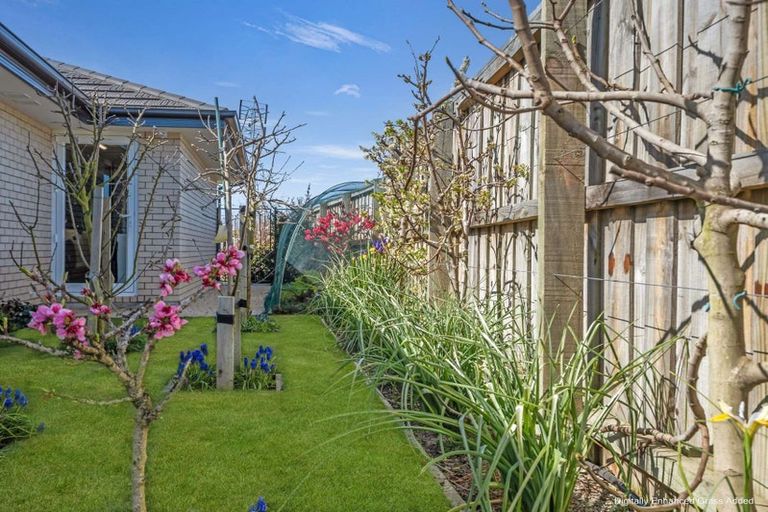 Photo of property in 67 Zabeel Street, Lincoln, 7608