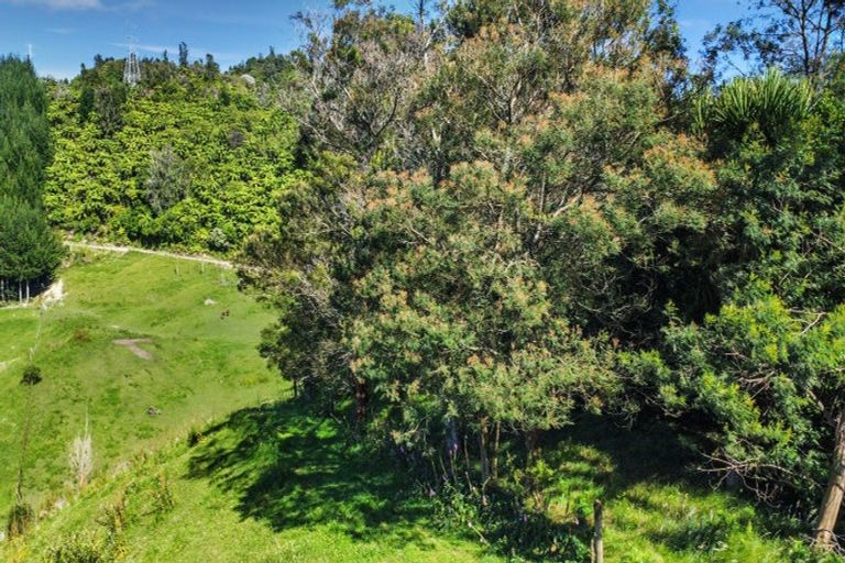 Photo of property in 109 Mcivor Road, Rotoma, Whakatane, 3192