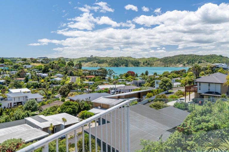 Photo of property in 25e Violet Street, Raglan, 3225