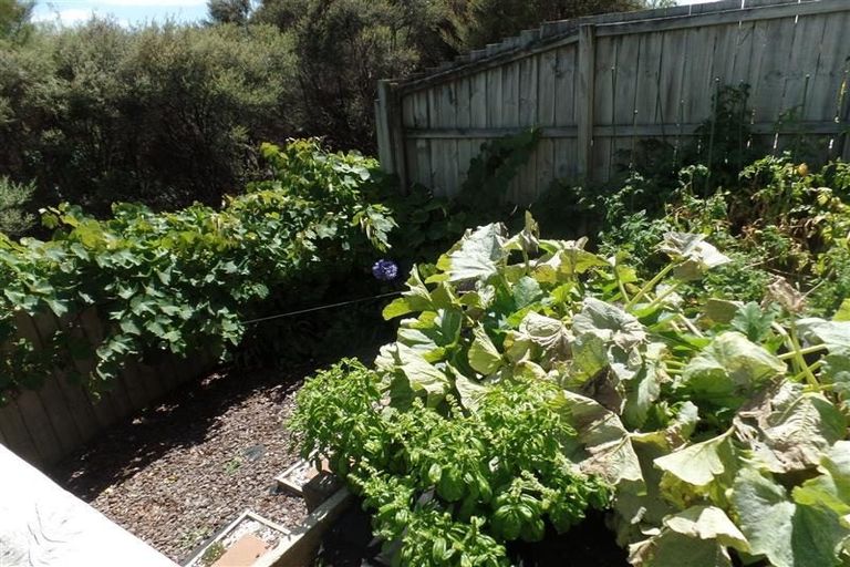 Photo of property in 59 Tiri Tiri Road, Birkdale, Auckland, 0626