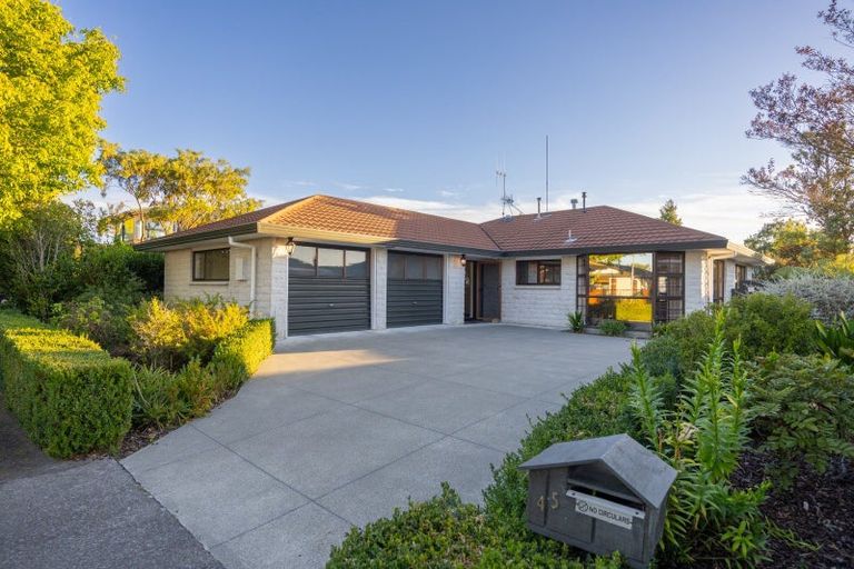 Photo of property in 45 Chippendale Crescent, Highbury, Palmerston North, 4412