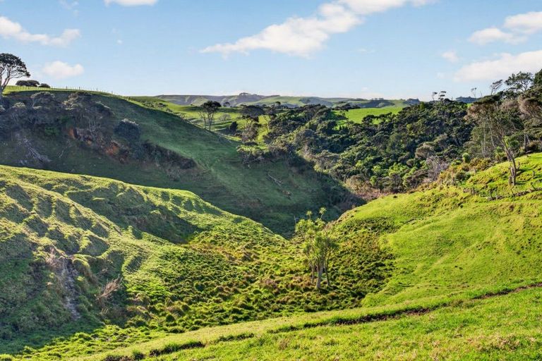 Photo of property in 55 Coster Road, Muriwai, 0881