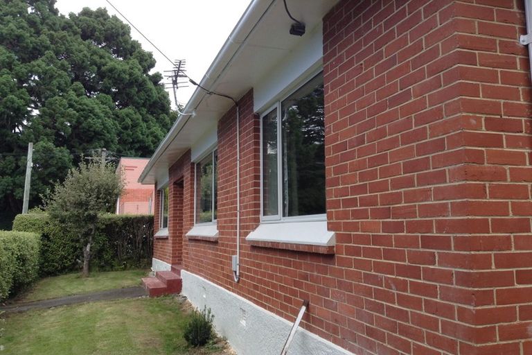 Photo of property in 3 Avon Street, Roslyn, Dunedin, 9010
