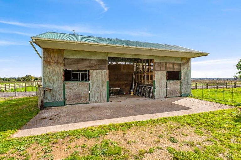 Photo of property in 435 Tararua Road, Levin, 5571