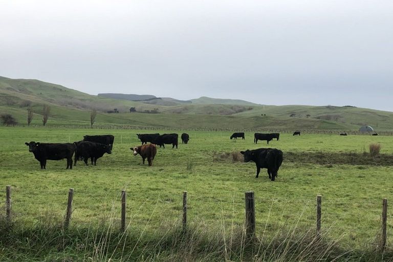 Photo of property in 65 Beach Road, Porangahau, 4293