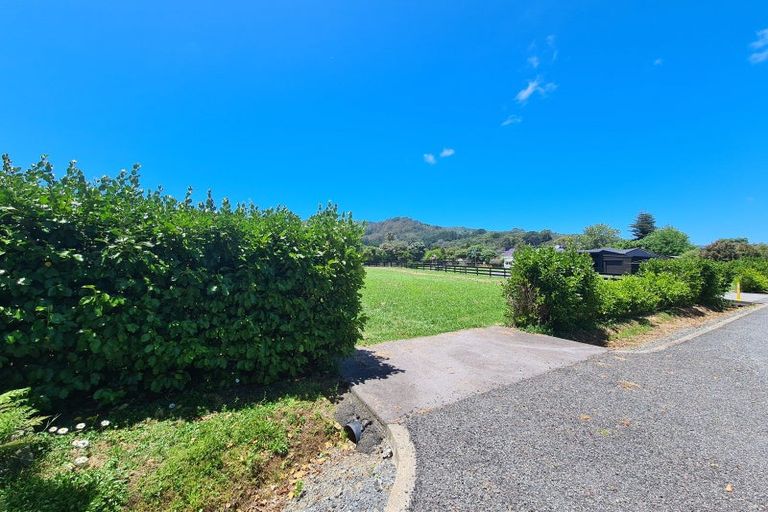 Photo of property in 39e Whangapoua Sh25 Road, Coromandel, 3506