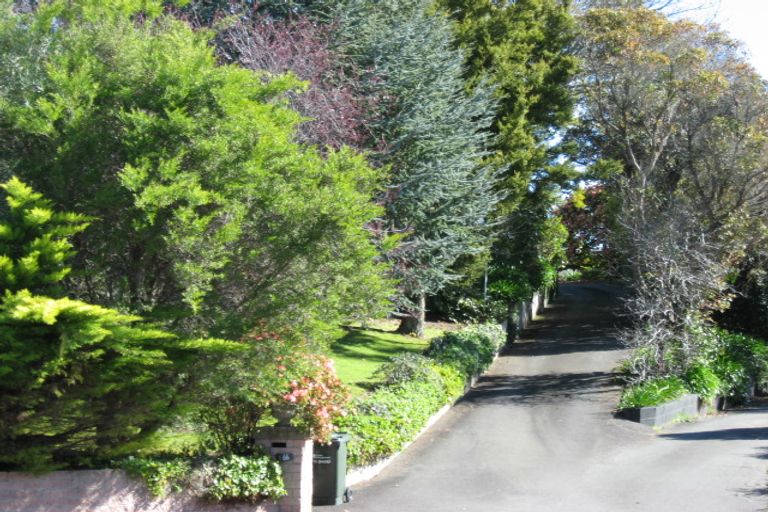 Photo of property in 66 Simla Avenue, Havelock North, 4130