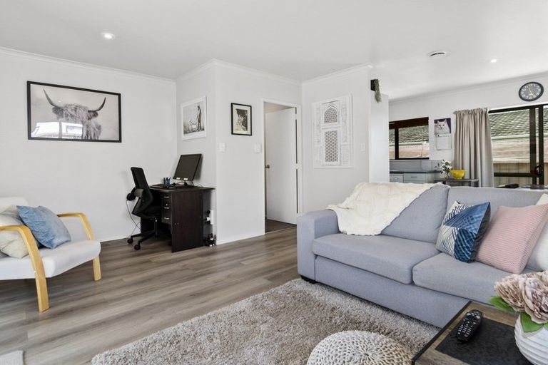 Photo of property in 256 Waihi Road, Judea, Tauranga, 3110