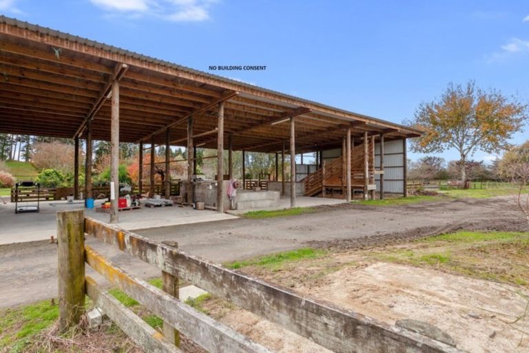 Photo of property in 131e Hogg Road, Rotoma, Whakatane, 3192