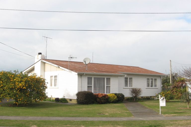 Photo of property in 101 Masefield Avenue, Maraenui, Napier, 4110