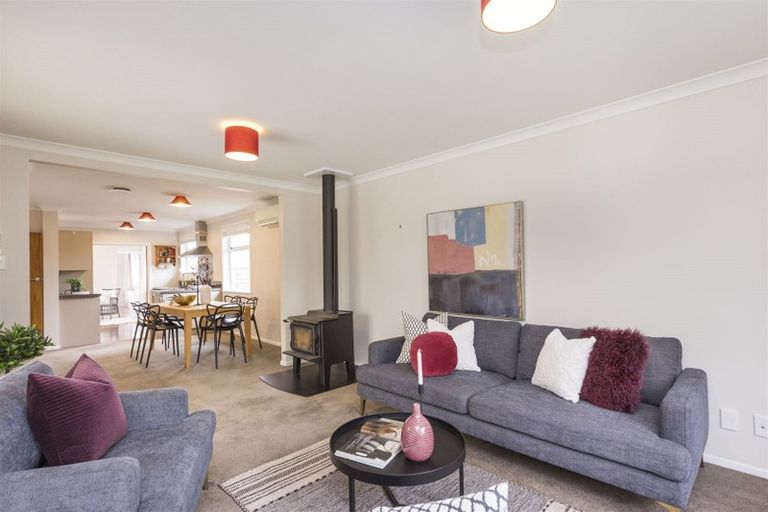 Photo of property in 12 Snowdon Avenue, Terrace End, Palmerston North, 4410