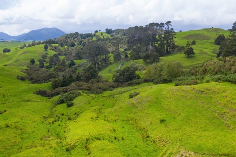 Photo of property in 229 Settlement Road, Kaiwaka, 0573