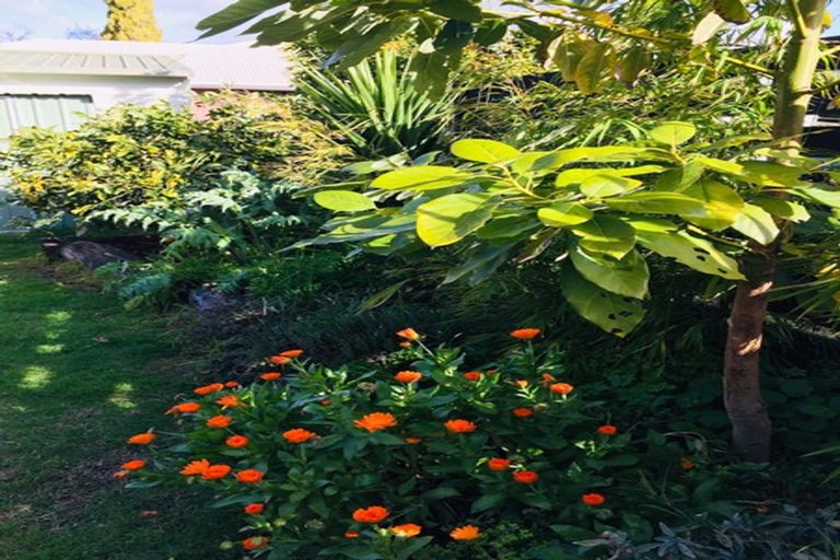 Photo of property in 208 Banks Street, Thames, 3500