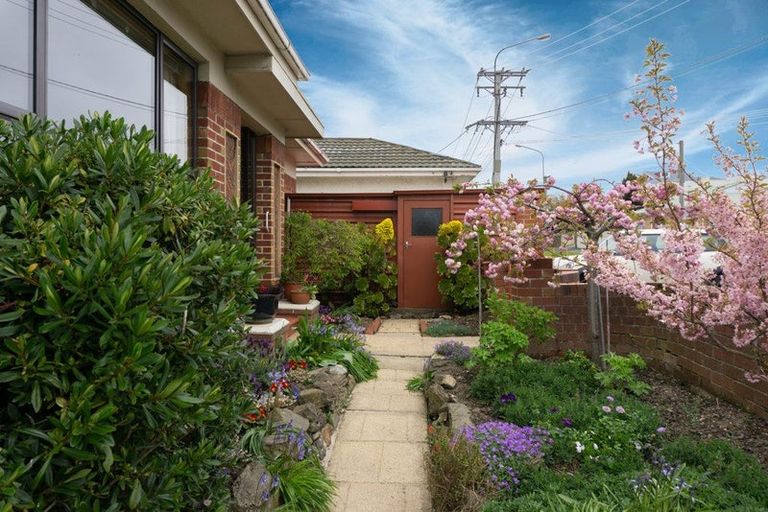 Photo of property in 55 Elgin Road, Mornington, Dunedin, 9011