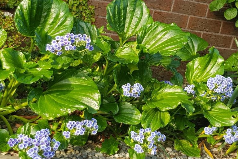 Photo of property in 2/5 Chokebore Place, Sockburn, Christchurch, 8042