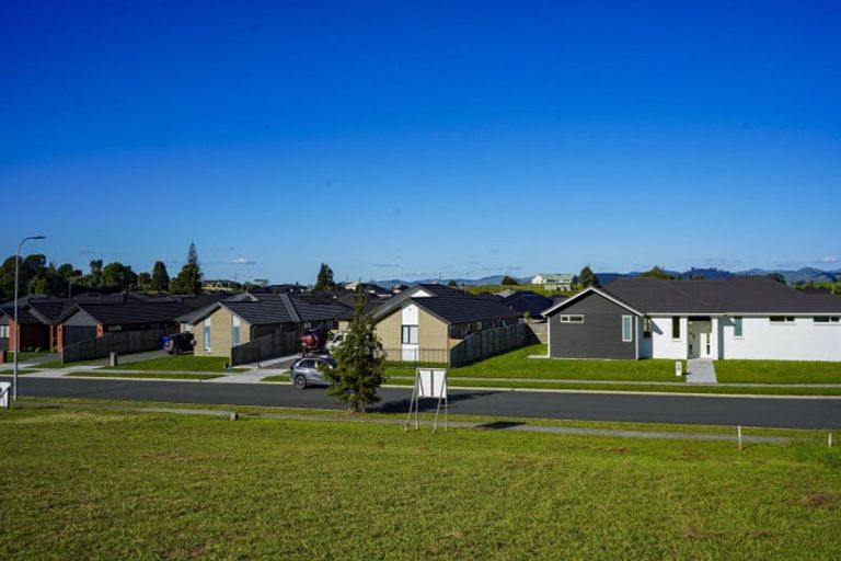 Photo of property in 31 Murray Ward Drive, Te Kauwhata, 3710
