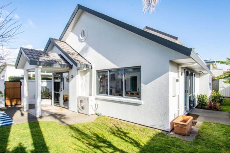 Photo of property in 40a Valley Road, Mount Maunganui, 3116