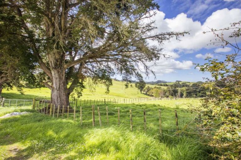 Photo of property in 70 Biddle Road, Wellsford, 0973