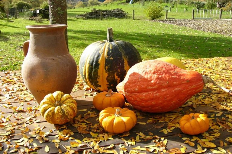 Photo of property in 46 Ruapapa Road, Frasertown, Wairoa, 4195