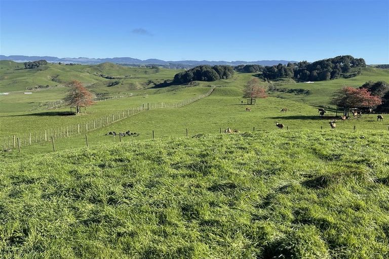 Photo of property in 80a Mangaotaki Road, Piopio, 3971