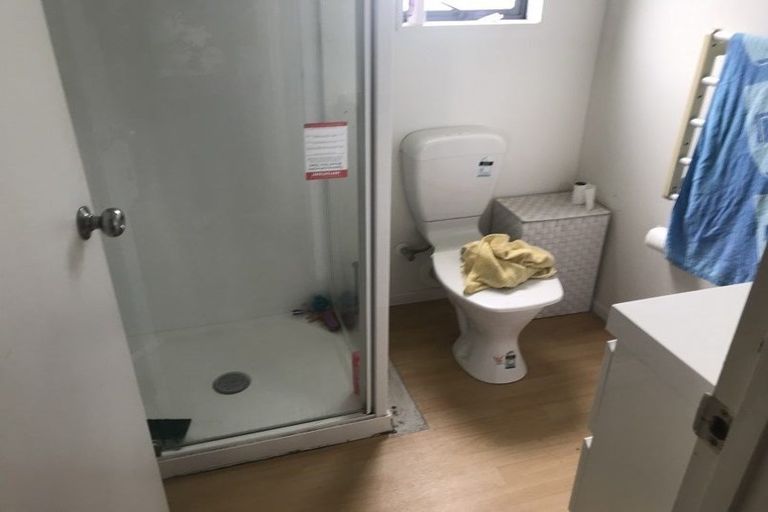 Photo of property in 65b Church Street, Awapuni, Palmerston North, 4412