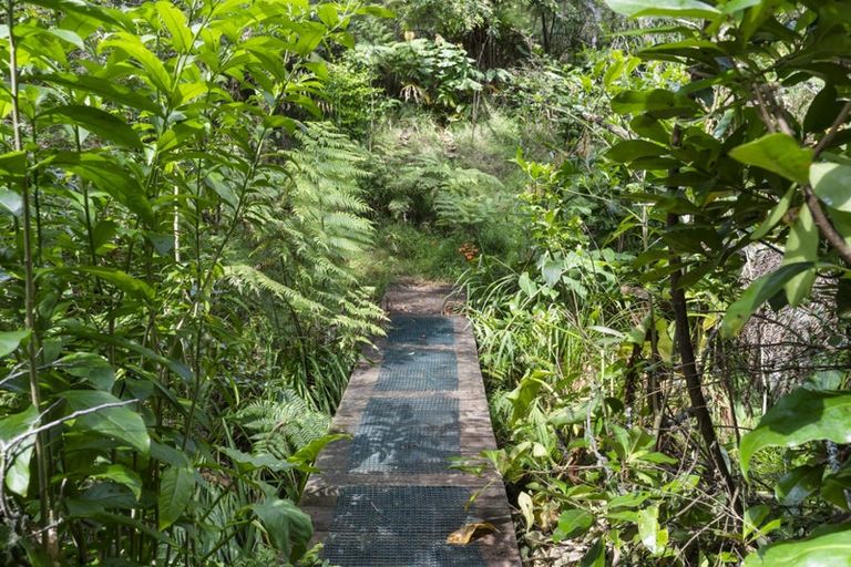 Photo of property in 126 Candia Road, Henderson Valley, Auckland, 0614