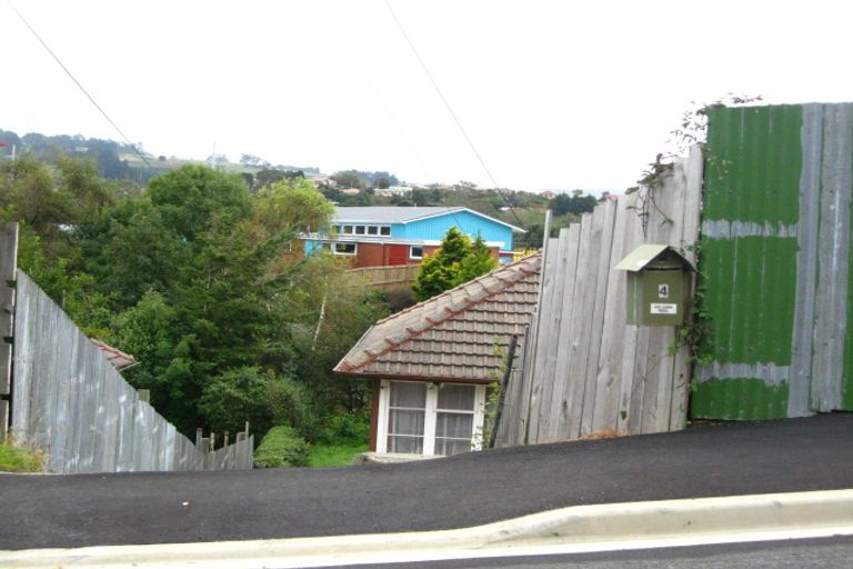 Photo of property in 4 Panmure Avenue, Calton Hill, Dunedin, 9012