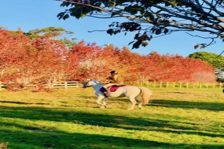 Photo of property in Glenmore Road, Coatesville, 0793