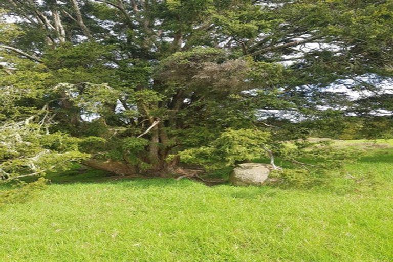 Photo of property in 504b Wairere Road, Maungaturoto, 0571