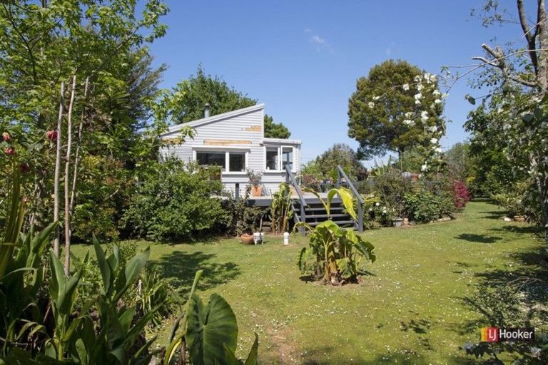 Photo of property in 1 Kitchener Street, Waihi, 3610