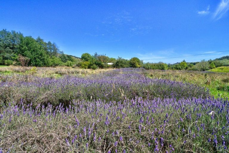 Photo of property in 1453 Masterton Castlepoint Road, Tauweru, Masterton, 5889