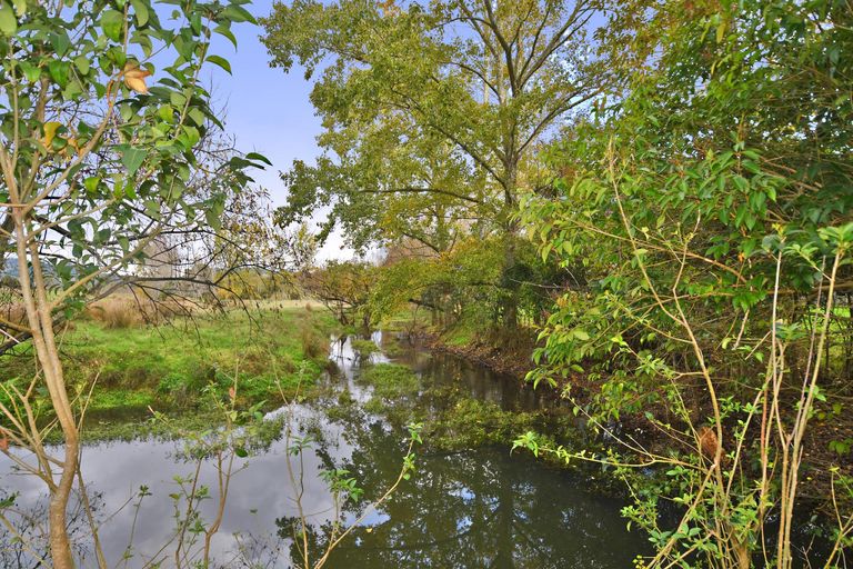 Photo of property in 309 Old Woodcocks Road, Kaipara Flats, Warkworth, 0981