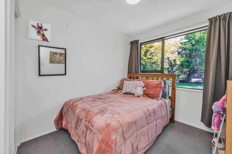 Photo of property in 28 Chapman Street, Leeston, 7632