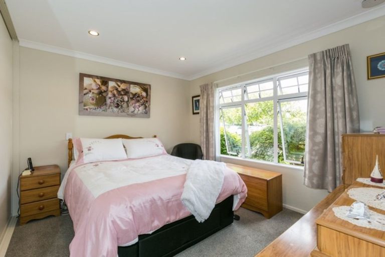 Photo of property in 41 Palmbrook Avenue, Havelock North, 4130