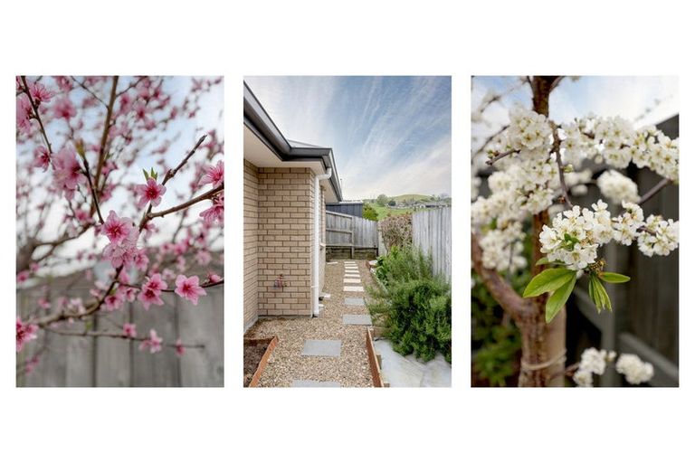 Photo of property in 3 Ibis Way, Welcome Bay, Tauranga, 3112