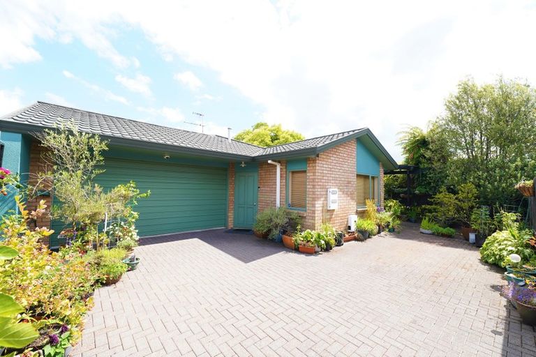 Photo of property in 12a Elizabeth Street, Victoria, Rotorua, 3010
