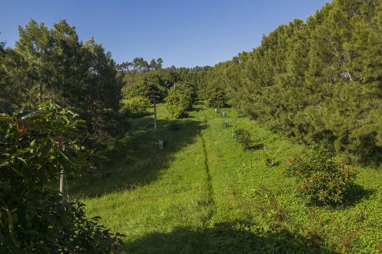 Photo of property in 89 Purangi Road, Purangi, Whitianga, 3591