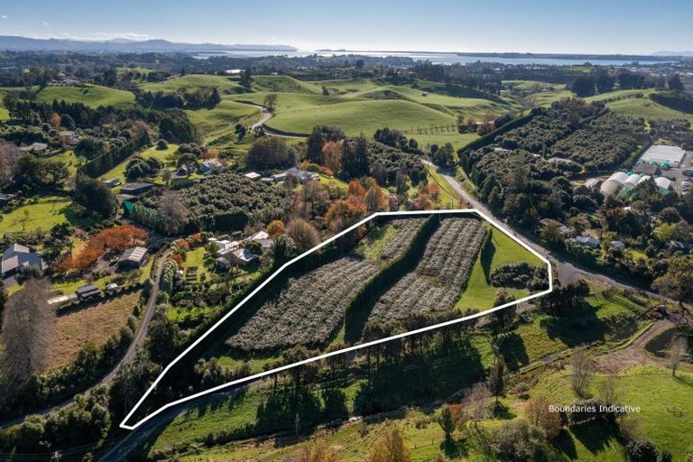 Photo of property in 394 Old Highway, Whakamarama, 3180