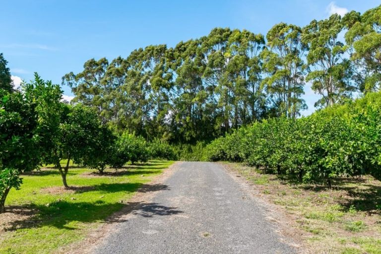 Photo of property in 109d Plummer Road, Whakamarama, Tauranga, 3179