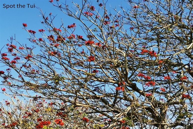 Photo of property in 33 Wairangi Road, Kerikeri, 0294