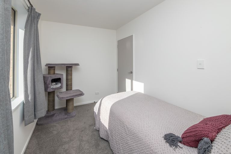 Photo of property in 24c Tika Street, Riccarton, Christchurch, 8041