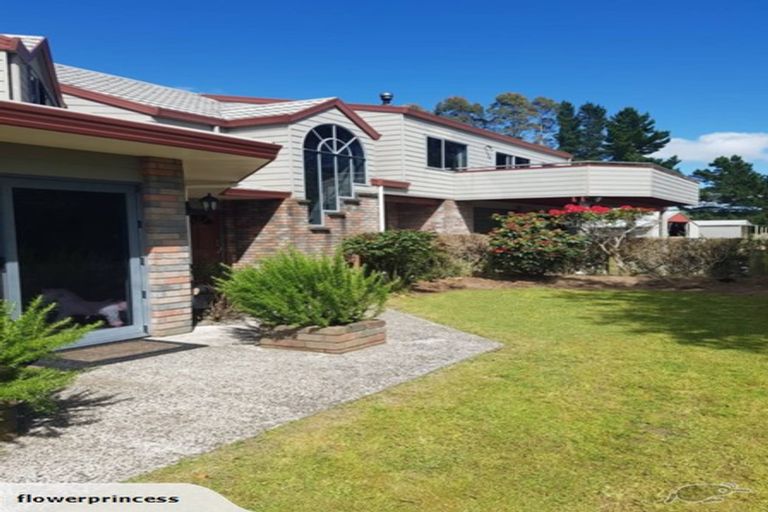 Photo of property in 491 Palmer Mill Road, Wairakei, Taupo, 3384