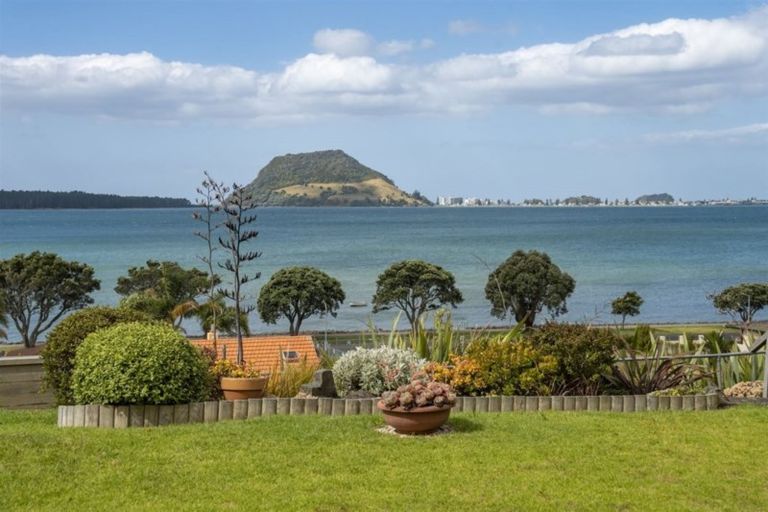 Photo of property in 31 Cooneys Drive, Matua, Tauranga, 3110