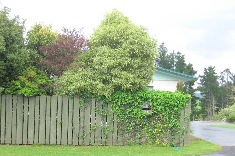 Photo of property in 113 Bradford Street, Waihi, 3610