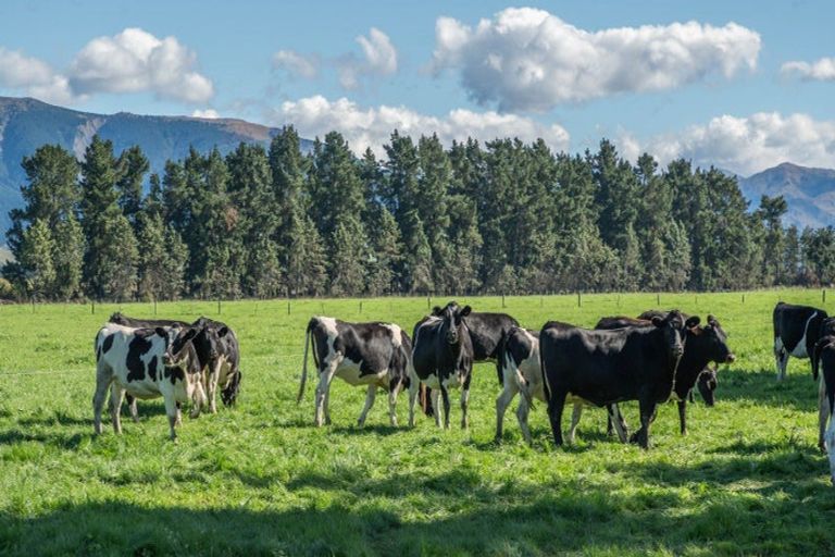 Photo of property in 375 Stonyflat Road, Loburn, Rangiora, 7472